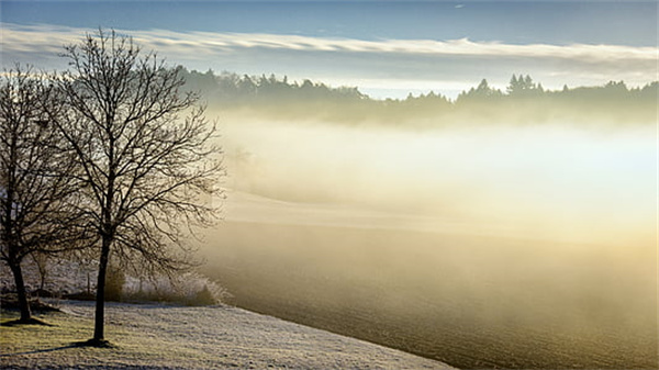 优秀小学生的自我介绍10篇