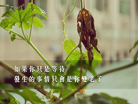 学校安全教育讲话稿