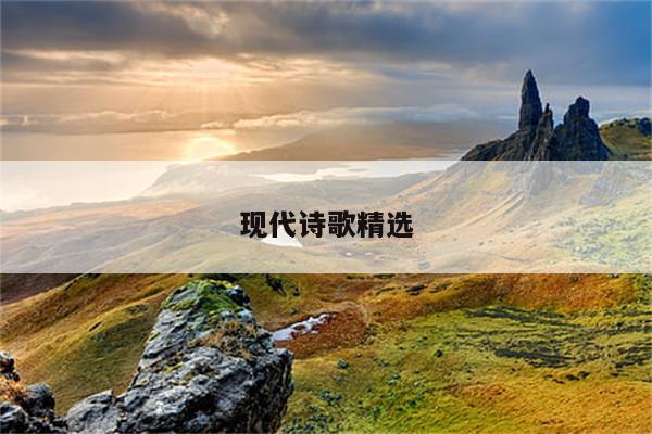 教师远程培训工作总结 (菁选3篇)